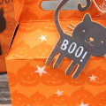 Halloween Treat Box