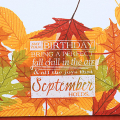 Leaf Pile Birthday Card