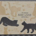 Nine Lives Card