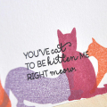 Kitten Me Card Detail