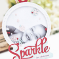 Supplies

Stamps: Sparkle & Shine Holiday Additions

Ink: True Black

Cardstock: Soft Stone, Aqua Mist, Sweet Blush, Pure Poppy

Dies: Sparkle & Shine Words, Shaker Shapes: Ornament,...