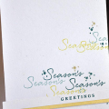 Season's Greetings Card