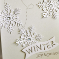 Winter Joy & Peace Card