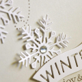 Winter Joy & Peace Card Detail