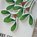 mistletoe tag close up