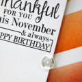 november bday close up