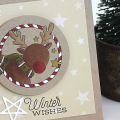 Winter Wishes Card