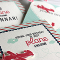 Airplane Birthday Card - detail