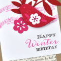 Winter Birthday