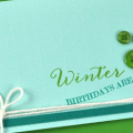 Winter Birthdays...