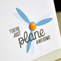 Plane Awesome Card Detail