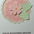 Your Kindness Meas More