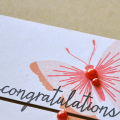 Butterfly Congratulations Detail