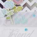 Hello Friend Card