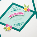 Supplies

Stamps:You've Been Framed: Diamond, Polka Dot Parade #6
Ink: Raspberry Fizz, Summer Sunrise, Aqua Mist, Tropical Teal, New Leaf
Cardstock: White, Tropical Teal, Aqua Mist
Dies:...