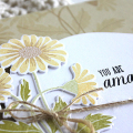 Amazing Daisies Card - detail