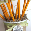 Pencil Flower Bouquet