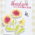 Supplies

Stamps: Flower Favorites
Ink: Harvest Gold, Pure Poppy, Simply Chartreuse, Limeade Ice, True Black
Cardstock: White
Patterned Paper: Chicken Scratch Gingham
Dies: Flower Favorites...