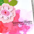 Warmest Thanks