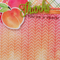 Peach-Plaid