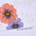 On Your Birthday Card