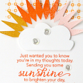 Sunshine card