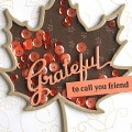 Grateful Friend Shaker Card