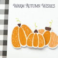 Supplies

*All supplies are available at Papertrey Ink unless otherwise noted.

Stamps: Pumpkin Patch

Ink: Canyon Clay, Limeade Ice, Dark Chocolate, True Black

Cardstock: White...