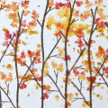 Stamps: Out On a Limb (Revisited), Birthday Wishes
Cardstock: Pure Poppy, Summer Sunrise
Ink: Pure Poppy, Summer Sunrise, Orangerie, Burnt Umber
Ribbon: Pure Poppy, Summer Sunrise
Other: Metal...