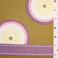 PP- PTI Polka Dot Parade; CS- PTI White, Ripe Avocado, Lavendar Moon and Plum Pudding; Ink- PTI Ripe Avocado and Lemon Tart; Ribbon- Plum Pudding; Stamps- Floral Frenzy; Punches- Marvy (circle and...