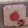 Teacher's Apple Card