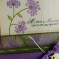 Heartfelt Basics Boxed Card Set
