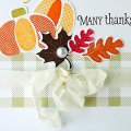 STAMPS: Quilted: Autumn, Pumpkin Patch
INK: Canyon Clay, Summer Sunrise, Orange Zest
PAPER: White, Classic Kraft, Autumn Chicken Scratch Gingham
DIES: Quilted: Autumn, Pumpkin Patch
OTHER:...