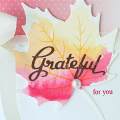 STAMPS: Enclosed: Leaf
INK: Pure Poppy, Summer Sunrise, Harvest Gold
PAPER: watercolor paper, Vintage Linens Paper Pad, white, Dark Chocolate Pattern Pack
DIES: Enclosed: Leaf
OTHER: seam...