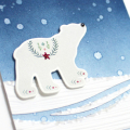 Polar Bear Season's Greetings Close Up Gallery