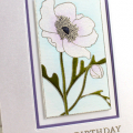 Birthday Anemone Card
