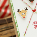 Supplies

all supplies are available at Papertrey Ink unless otherwise noted

Stamps: Snowflake Sparkle

Ink: Pure Poppy

Cardstock: White, Kraft

Patterned Paper: Holiday Pin-Ups Kit,...