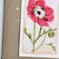 Happy Holidays Anemone Card