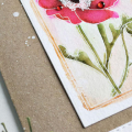 Happy Holidays Anemone Card - detail