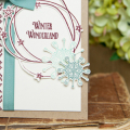 Supplies

*all supplies are available at Papertrey Ink unless otherwise noted

Stamps: Fair Isle Borders, Snowflake Sparkle, Star Scribbles

Ink: Scarlet Jewel, Aqua Mist, Ocean Tides...