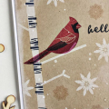 Cardinal Hello Card