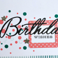 Birthday Wishes Card