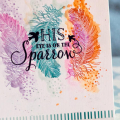 sparrow-feather-card