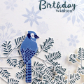 Birthday Bluejay Card