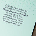 Supplies*all supplies are available at Papertrey Ink unless otherwise noted

Stamps: Winter Woods, Keep It Simple: Praying For You, Tucked In: Sympathy

Ink: Aqua Mist, New Leaf, Dark...