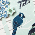 Supplies
*all supplies are available at Papertrey Ink unless otherwise noted

Stamps: Winter Woods, Fab Flakes

Ink: True Black, Stormy Sea, Enchanted Evening, Aqua Mist

Cardstock: White...