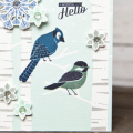 Supplies
*all supplies are available at Papertrey Ink unless otherwise noted

Stamps: Winter Woods, Fab Flakes

Ink: True Black, Stormy Sea, Enchanted Evening, Aqua Mist

Cardstock: White...