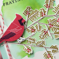 Supplies*all supplies are available at Papertrey Ink unless otherwise noted

Stamps: Winter Woods, Keep It Simple: Praying For You, Tucked In: Sympathy

Ink: Aqua Mist, New Leaf, Dark...