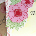 STAMPS: Bold Blossoms
INK: Lovely Lady, Pure Poppy, Mint Julep, New Leaf, True Black
PAPER: Bold Blossoms, Nostalgic Notions
DIES: Bold Blossoms
OTHER: watercolor pencils, enamel dots.