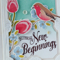 new-beginnings